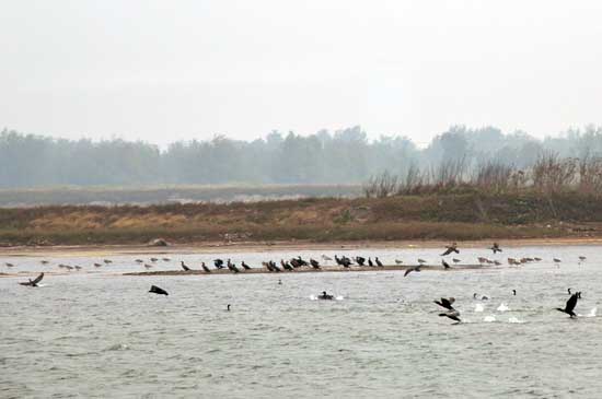 Ʒ��̨���Σ�����ʪ�ء����������á�9��