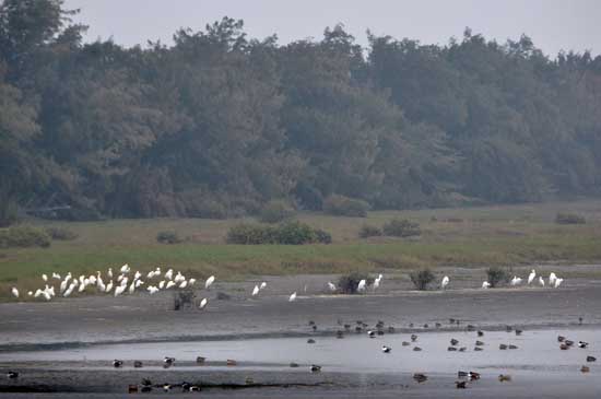 Ʒ��̨���Σ�����ʪ�ء����������á�6��