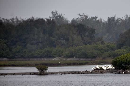 Ʒ��̨���Σ�����ʪ�ء����������á�7��