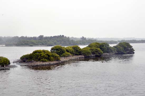 Ʒ��̨���Σ�����ʪ�ء����������á�10��