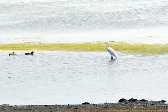 Ʒ��̨���Σ�����ʪ�ء����������á�8��