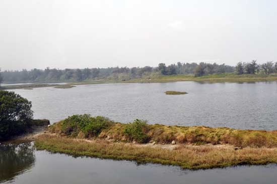 Ʒ��̨���Σ�����ʪ�ء�����������