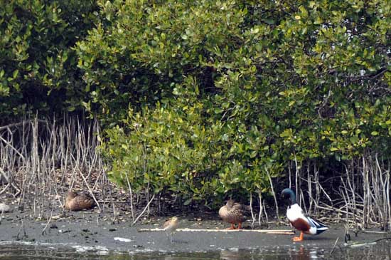 Ʒ��̨���Σ�����ʪ�ء����������á�3��