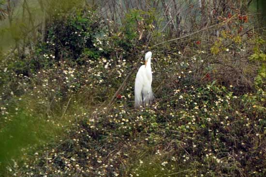 Ʒ��̨���Σ�����ʪ�ء����������á�2��