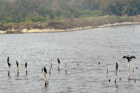 Ʒ��̨���Σ�����ʪ�ء����������á�4��