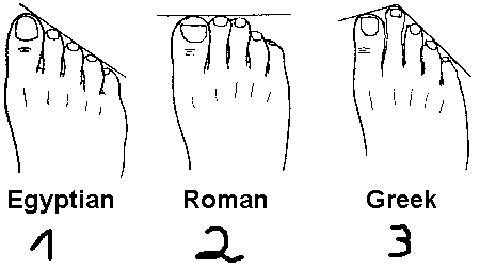 人类的脚趾长度分为3种。(图：来自网路)