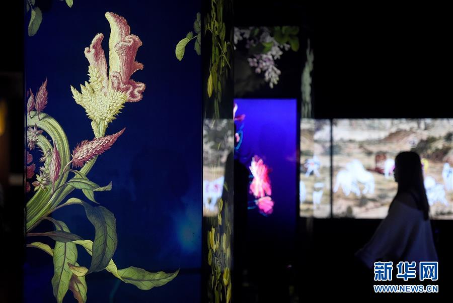 1月8日，在台北故宮博物院郎世寧新媒體藝術展上，游客欣賞運用多媒體方式再現的《仙萼長春圖》。