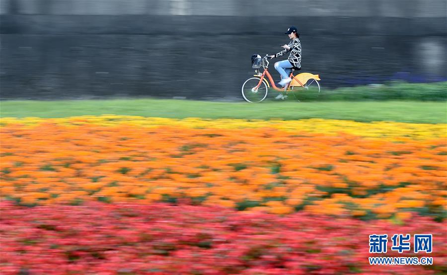 1月15日，一名市民在台北觀山河濱公園騎行。