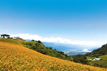 ����̨�壺̨���������뻨��