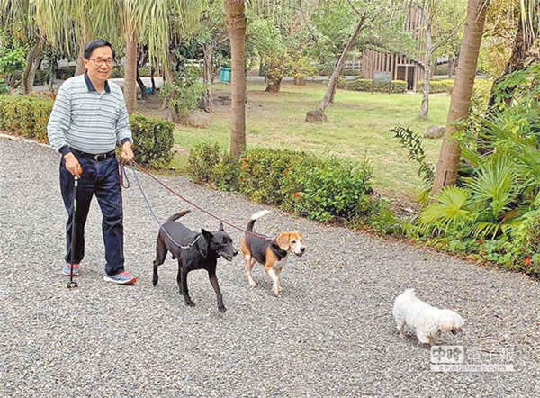 陈水扁保外就医，在公园遛狗。图片来源：台湾中时电子报