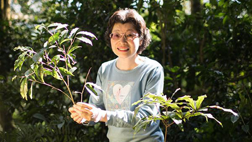 ̨���Ʋ�ʦ�����񣺲����ں�����