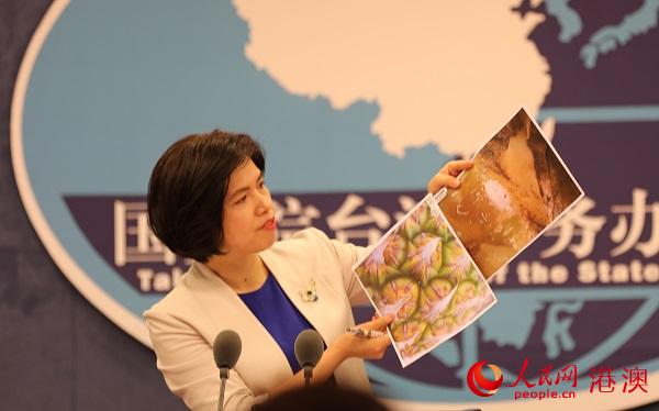 國台辦發言人現場展示台灣不合格菠蘿上檢出的害虫圖片 人民網 蘇纓翔攝