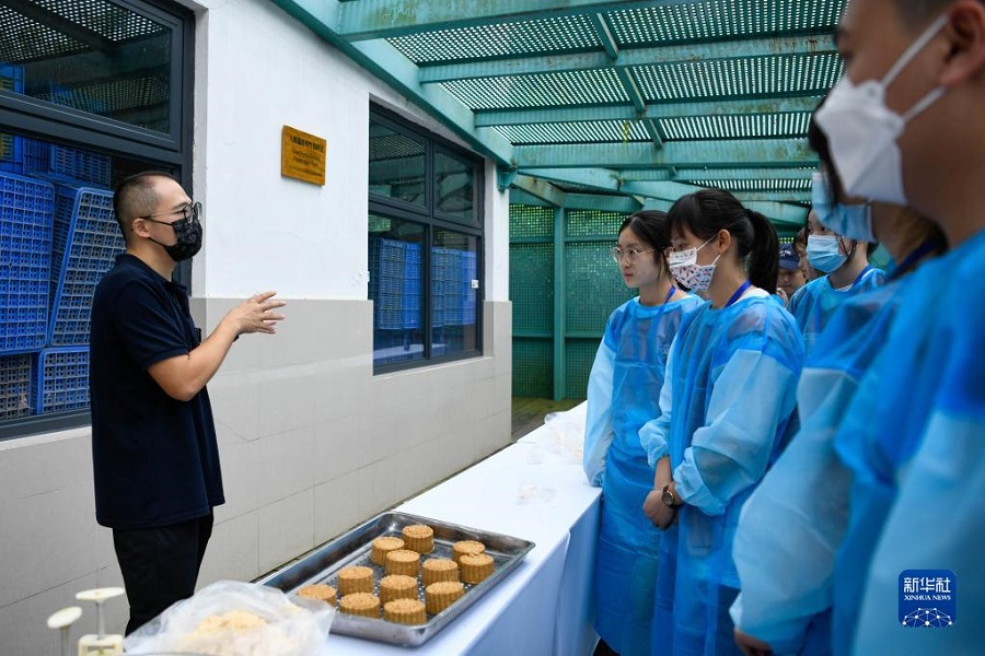 7月18日，在成都大熊猫繁育研究基地，动物饲养管理部主管袁博（左一）给参加体验营的两岸大学生介绍大熊猫食物情况。新华社记者 胥冰洁 摄