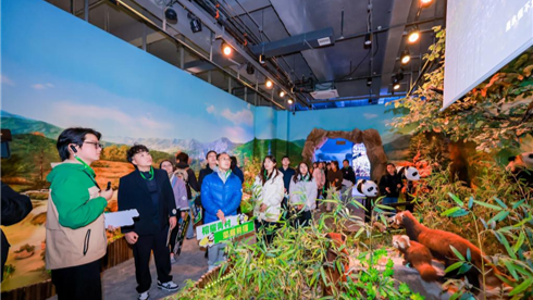 台湾青年探访福州熊猫世界 聆听两岸交流故事