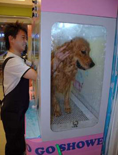 宠物洗澡机在台受青睐 美容师指导协助超方便