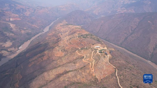  位於雲南省保山市龍陵縣勐糯鎮江中山的牛油果基地（無人機照片，2023年4月27日攝）。新華社發（受訪者供圖）