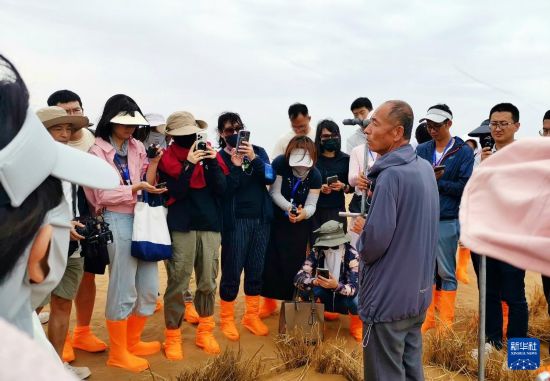 “塞上江南”生机勃勃、欣欣向荣